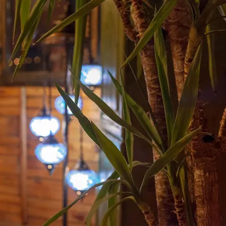 Otel Peace Stone House 3*