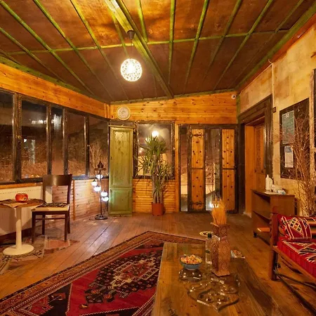 Peace Stone House 3* גורמה