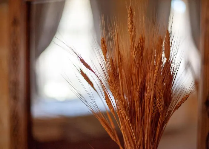 Peace Stone House 3* Γκόρεμε